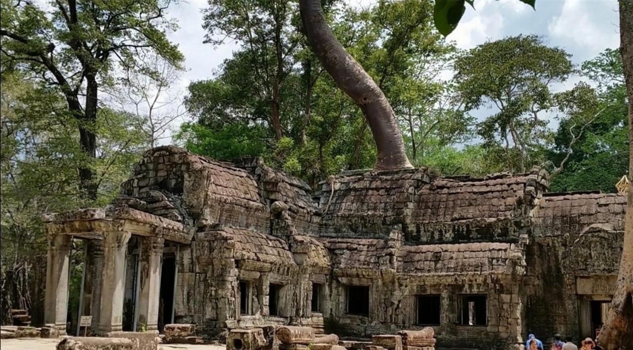 The Palmery เสียมราฐ ภายนอก รูปภาพ